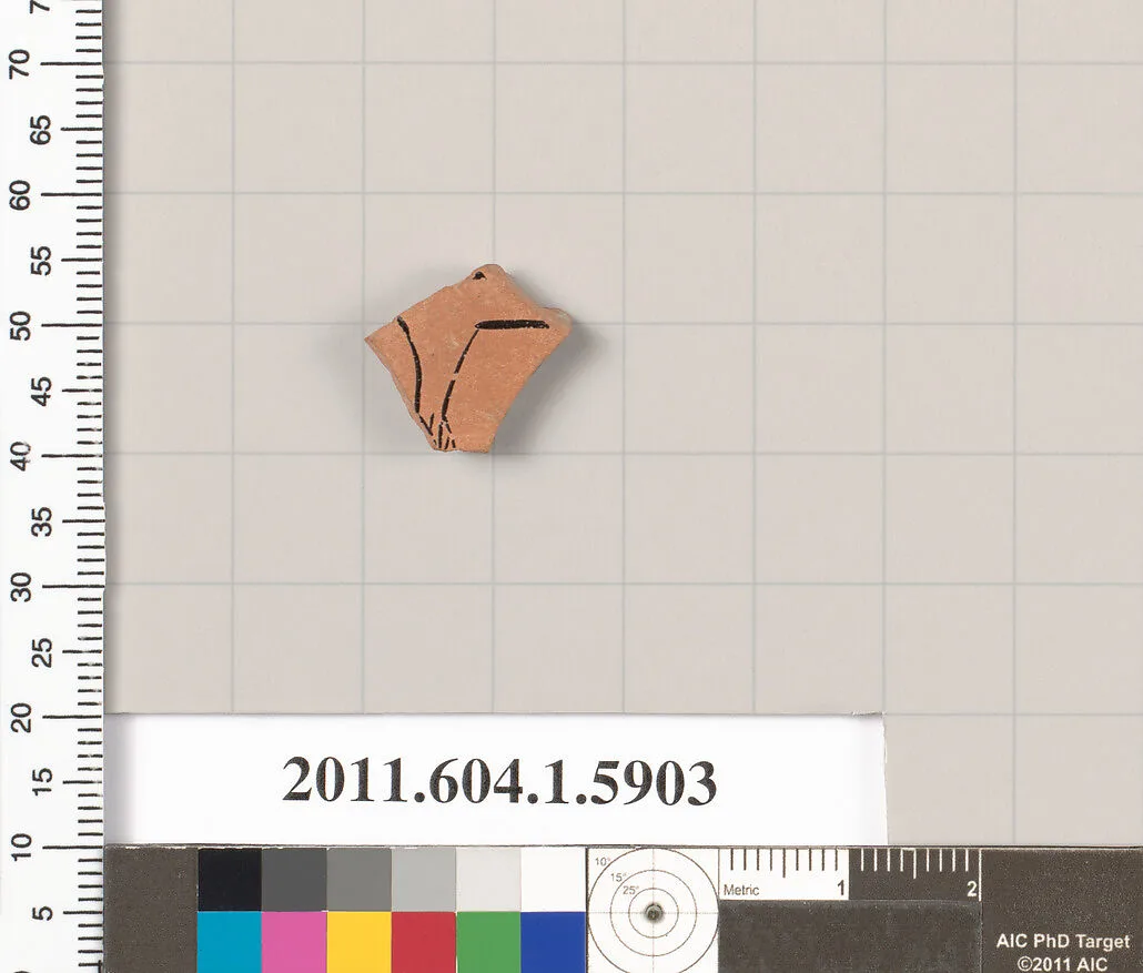 Terracotta fragment of a kylix (drinking cup) — Unknown