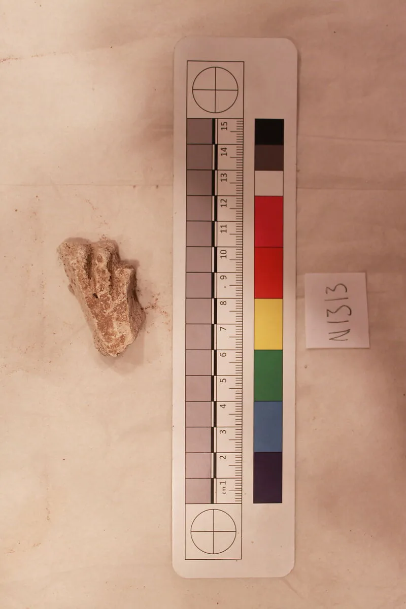 Stucco Fragment — Unknown