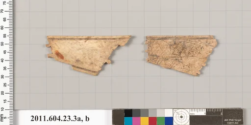 Bone or ivory fragments