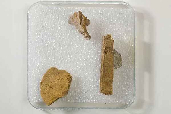 Relief fragment, Khety — Unknown