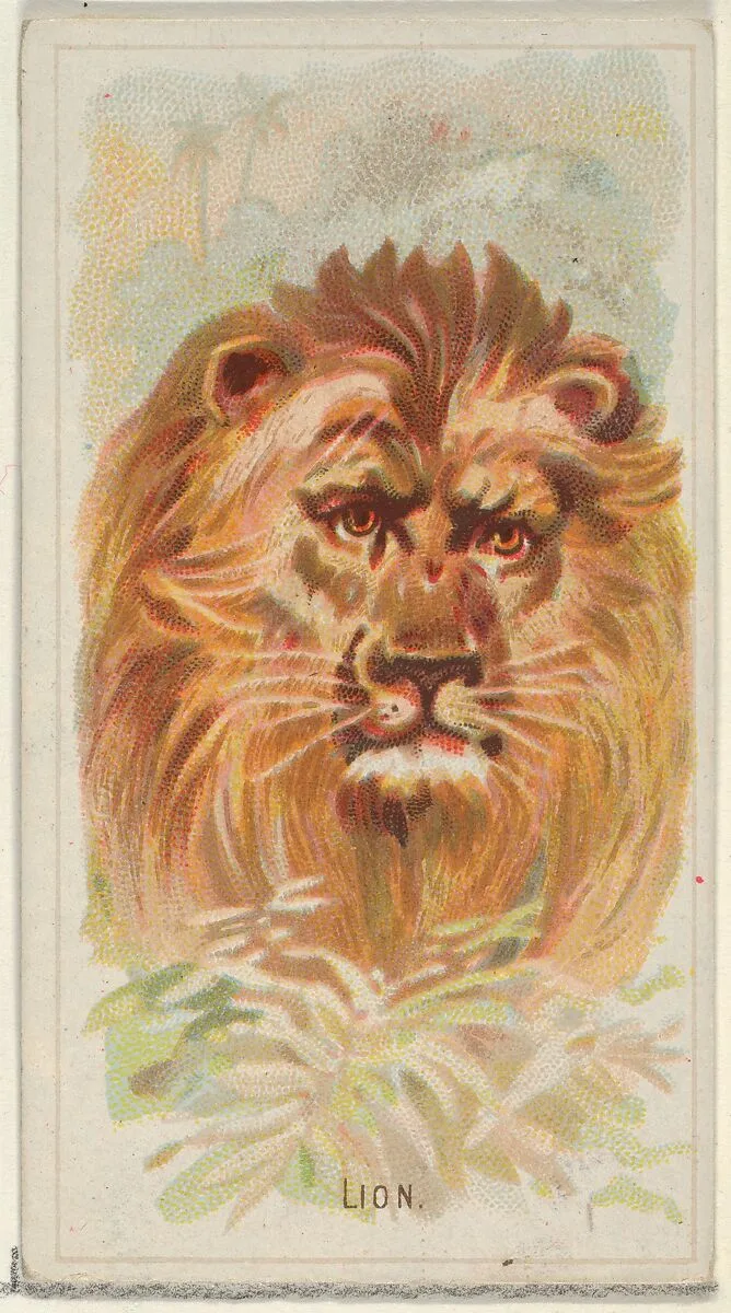 Lion, from the Wild Animals of the World series (N25) for Allen & Ginter Cigarettes — Allen & Ginter|George S. Harris & Sons