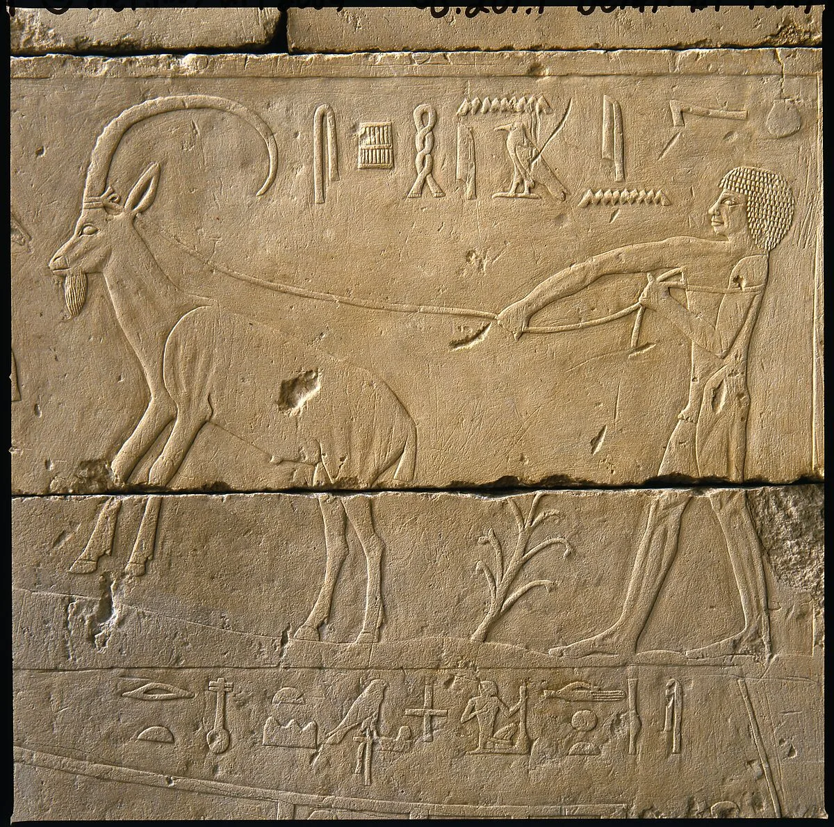 Tomb Chapel of Raemkai: South Wall — Unknown