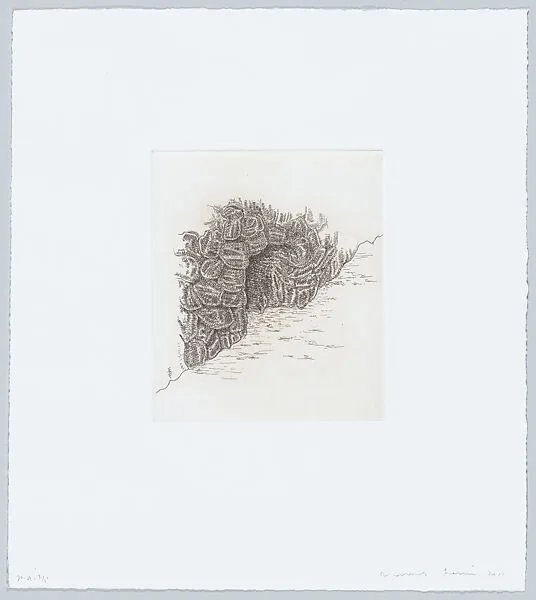Cova (Cave) — Poligrafa Obra Gráfica|James Siena