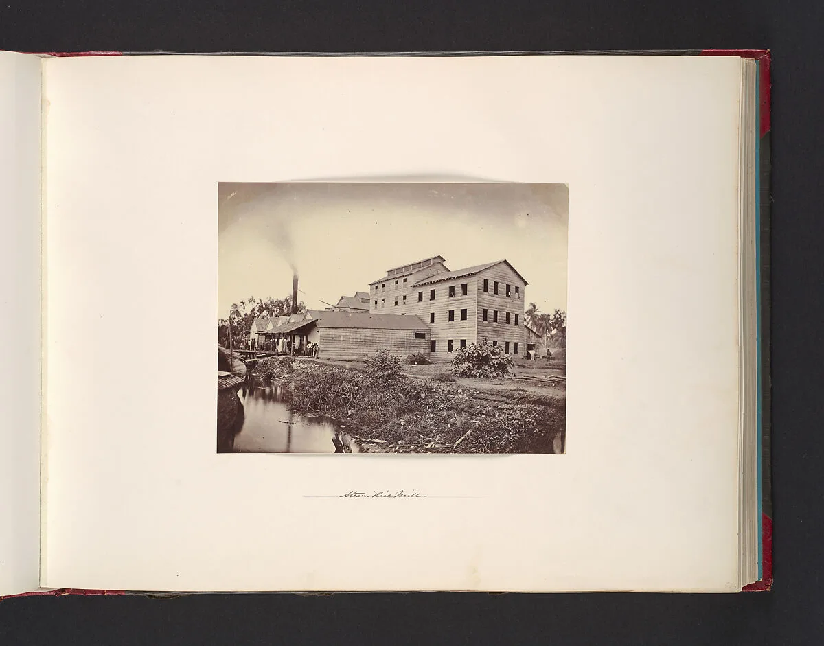 Steam Rice Mill — John Thomson