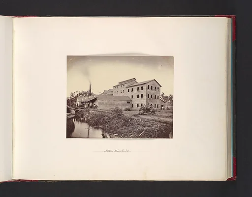 Steam Rice Mill