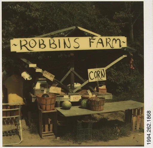 [Roadside Fruit and Vegetable Stand: "Robbins Farm"]