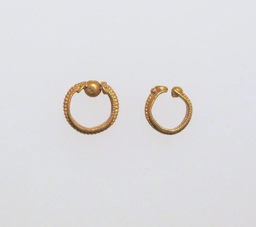 Earring