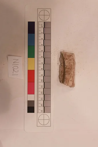 Stucco Fragment