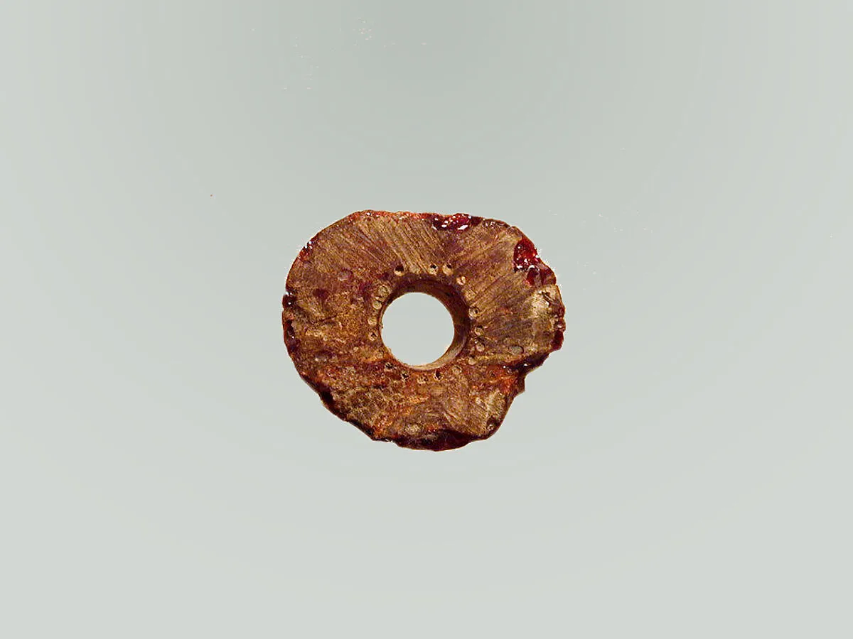 Fibula, fragment — Unknown