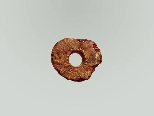 Fibula, fragment