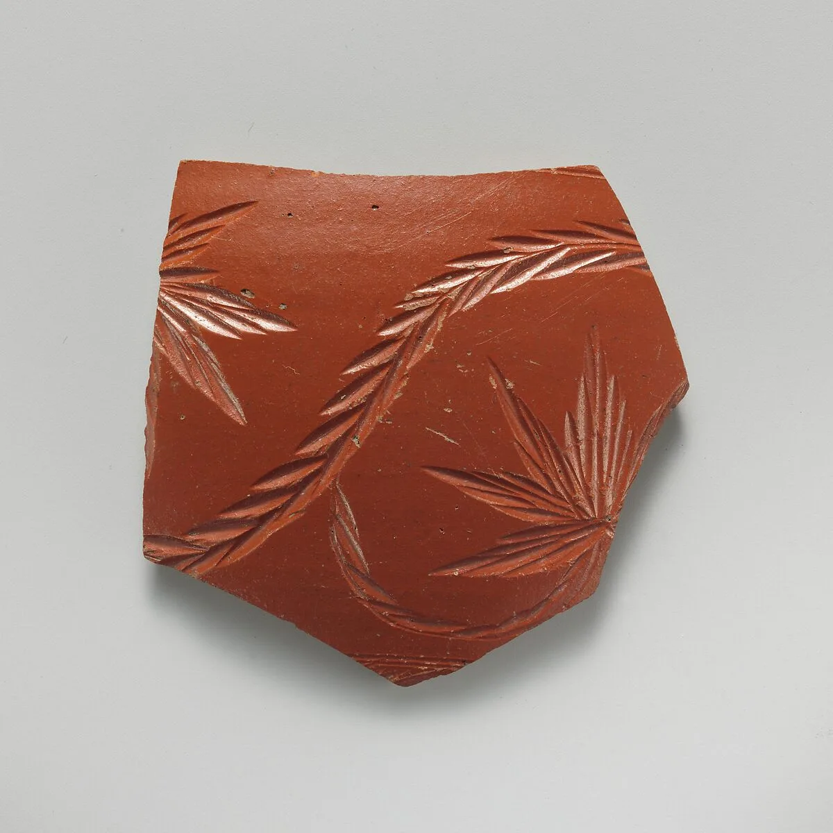 Fragment of terra sigillata — Unknown