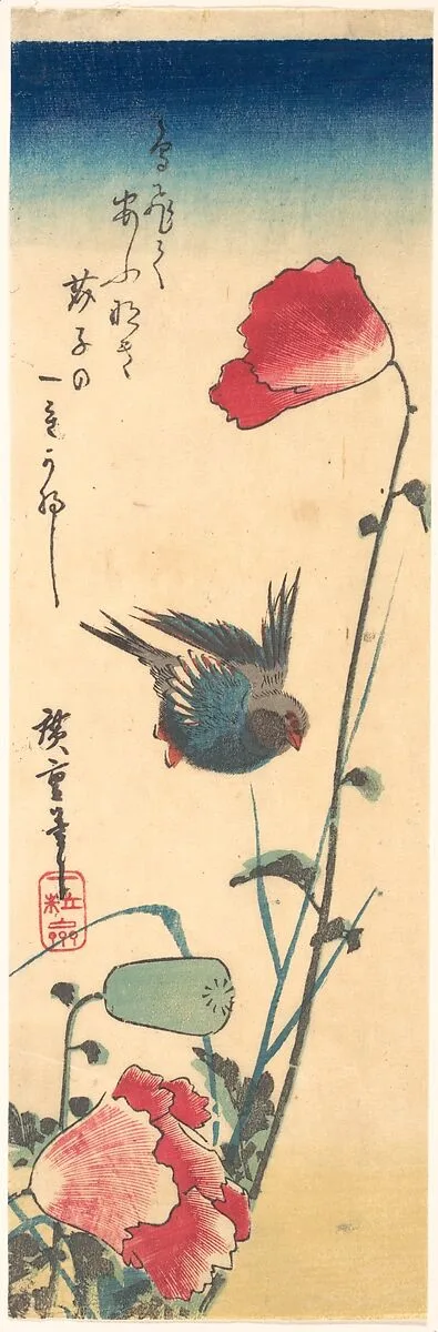 歌川広重画 芥子に瑠璃鳥|A Bluebird and Poppies — Utagawa Hiroshige