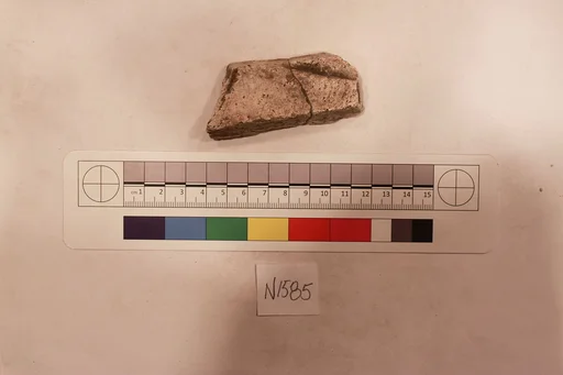 Stucco Fragment