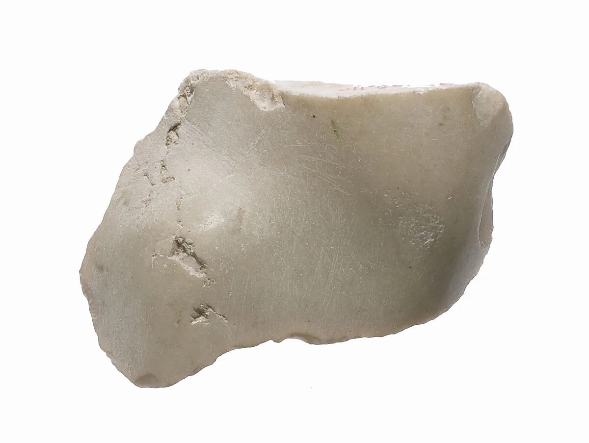 Foot fragment? — Unknown