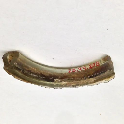 Fragment