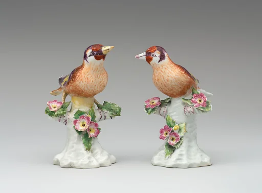 Pair of finches