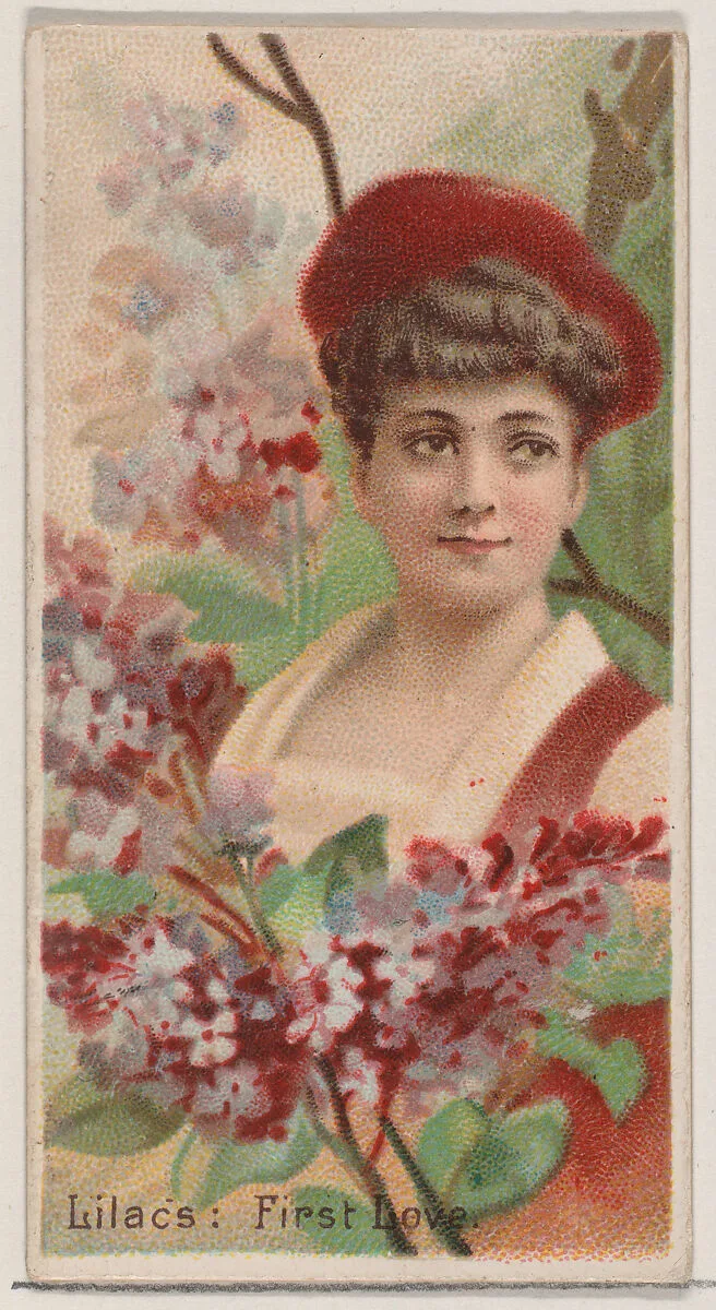 Lilacs: First Love, from the series Floral Beauties and Language of Flowers (N75) for Duke brand cigarettes — Donaldson Brothers|American Tobacco Company