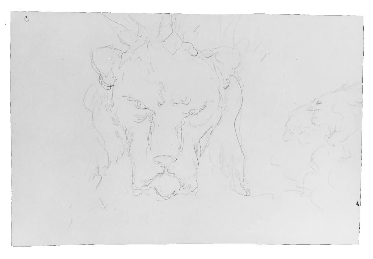Frontal and Profile Studies of a Lion's Head — William Rimmer