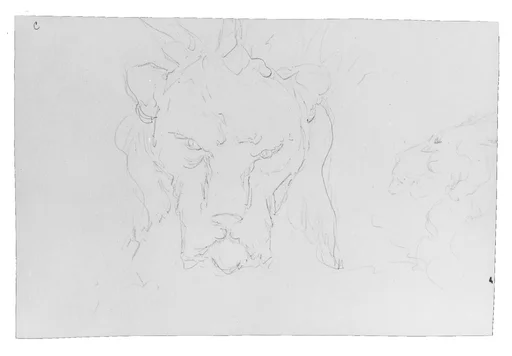 Frontal and Profile Studies of a Lion's Head