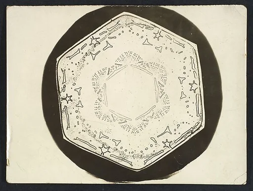[Snow Crystal]