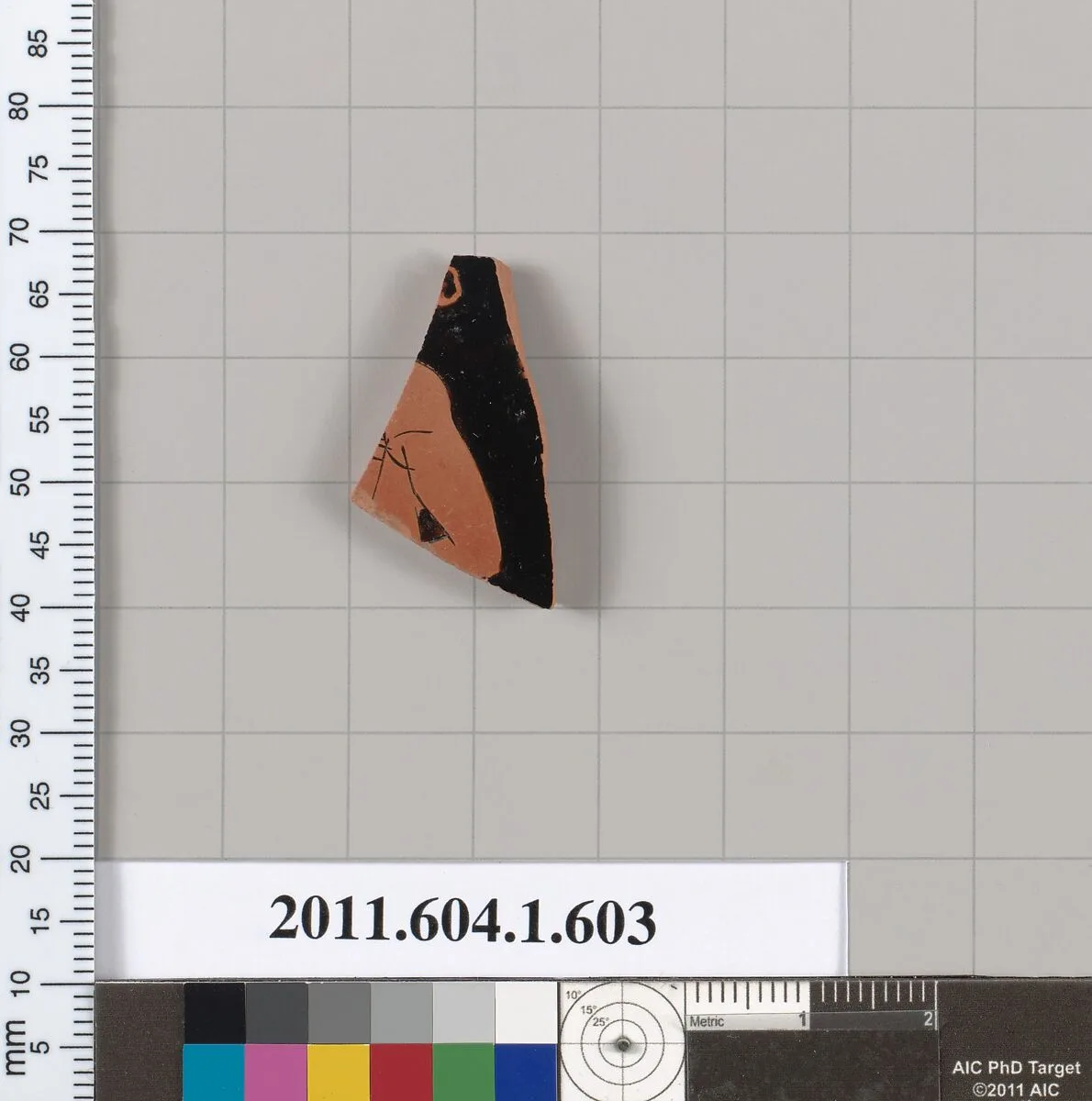 Terracotta fragment of a kylix (drinking cup) — Unknown