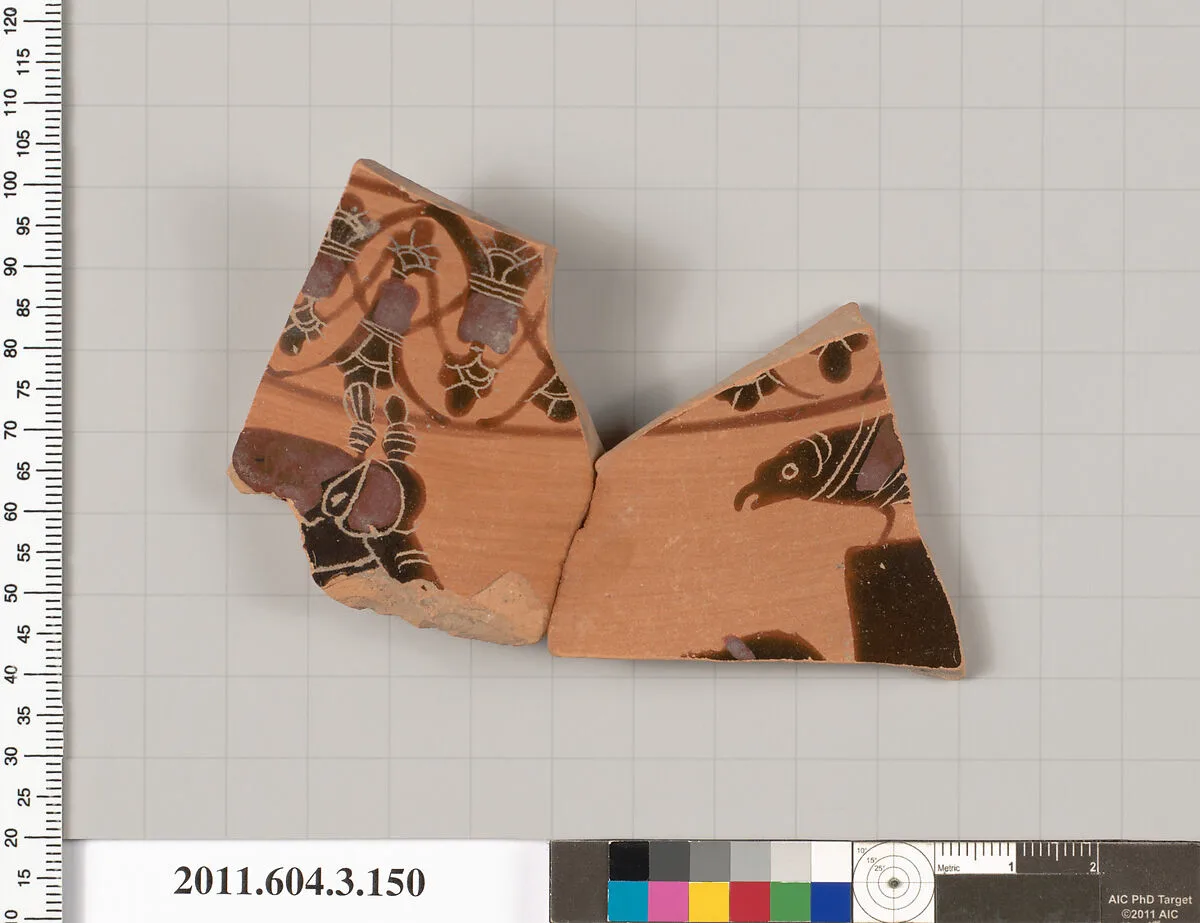 Terracotta fragment of an amphora (jar) — Unknown