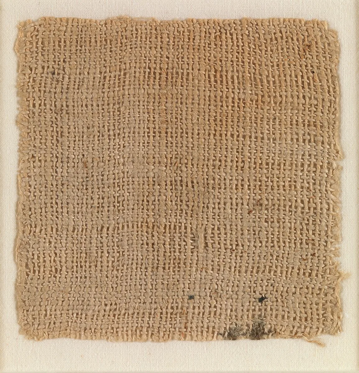 Sample of Cloth — Unknown