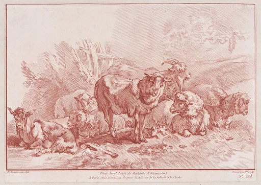 Animaux