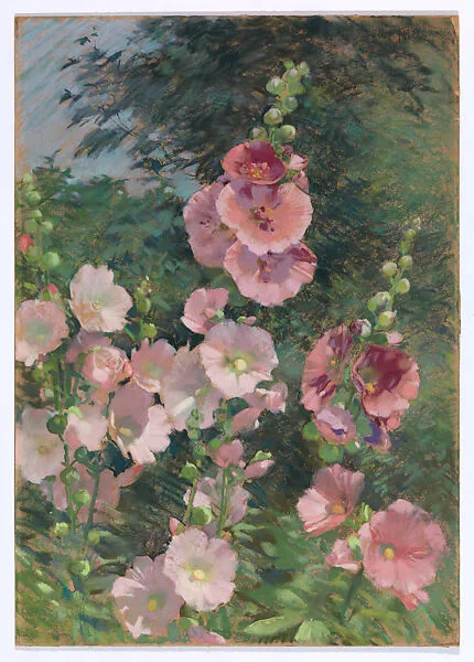 Hollyhocks in the Sunshine — Laura Coombs Hills