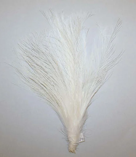 Aigrette