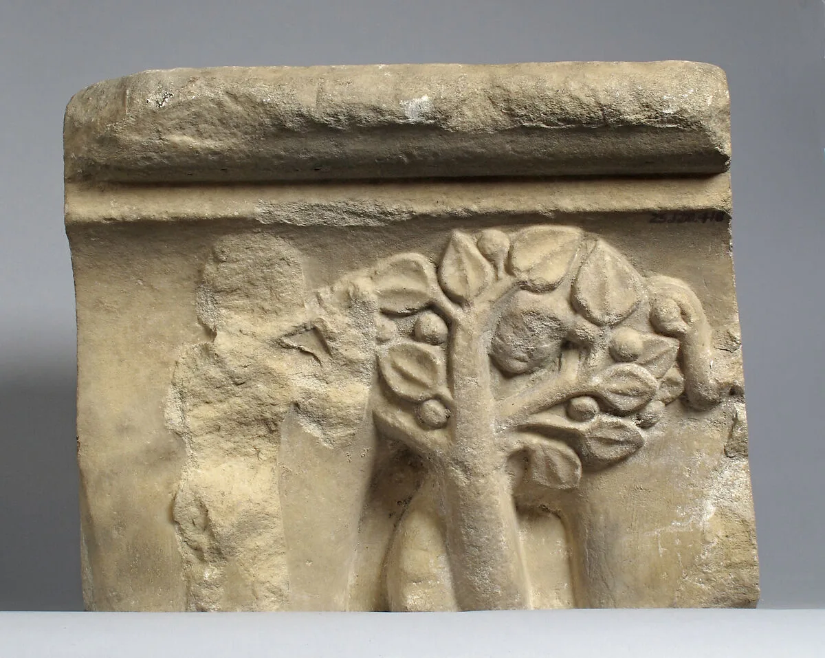 Double Capital Fragment — Unknown