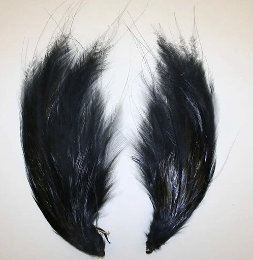 Aigrette