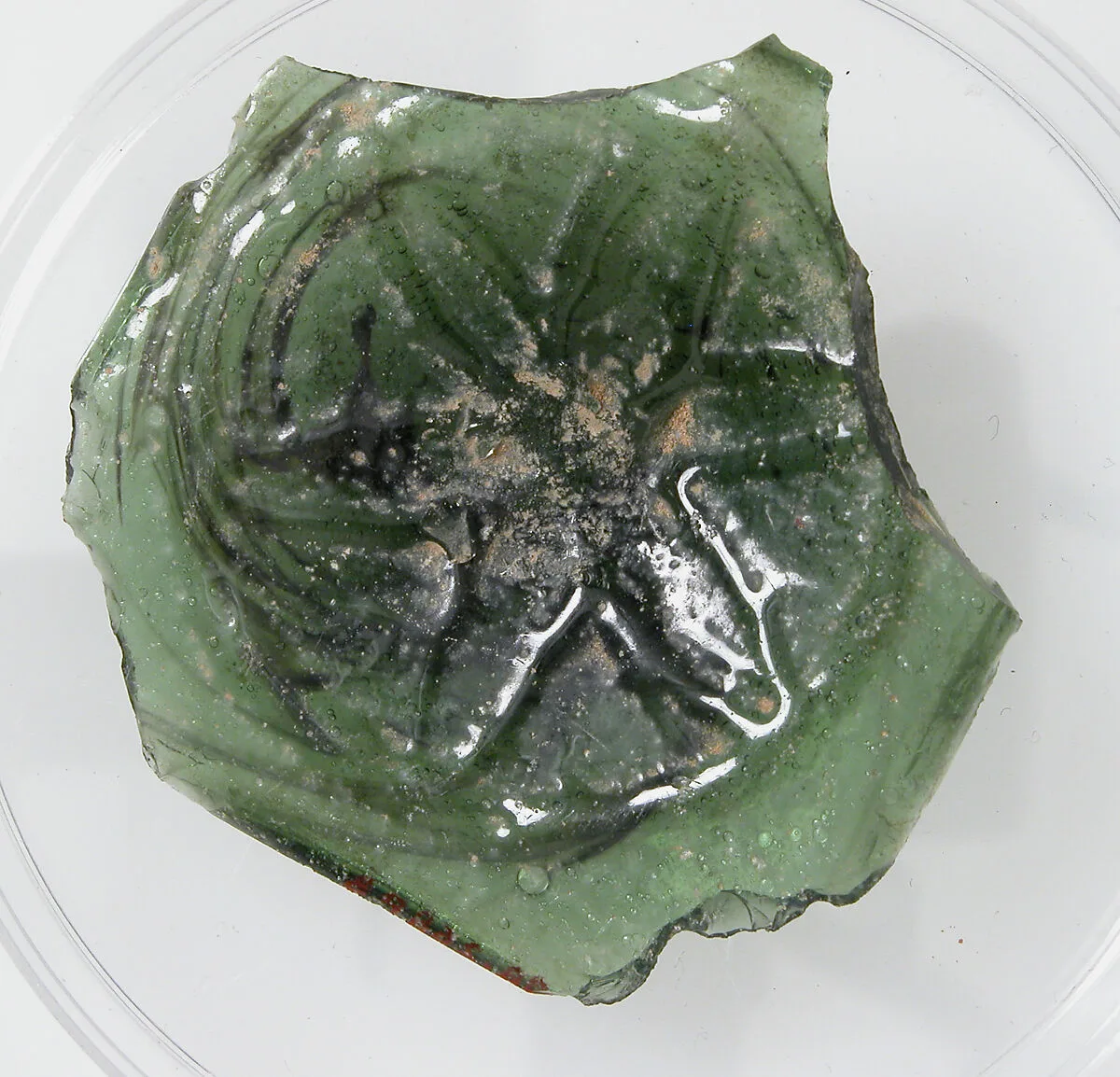 Glass Fragment with Pressed Flower — Unknown