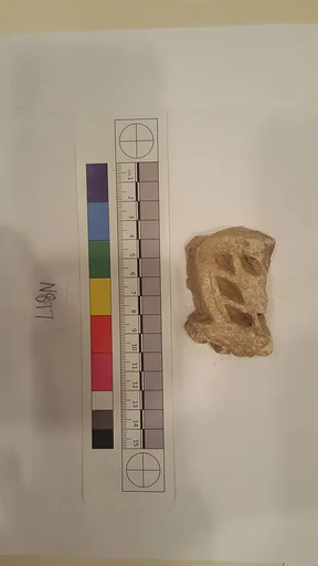 Stucco Fragment