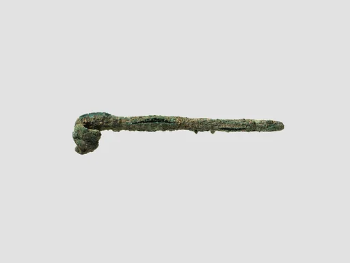 Fibula pin