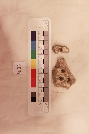 Stucco Fragment