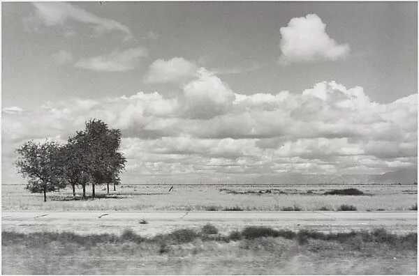 Autolandscape, Utah — Elaine Mayes