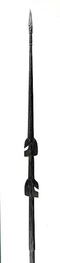 Spear