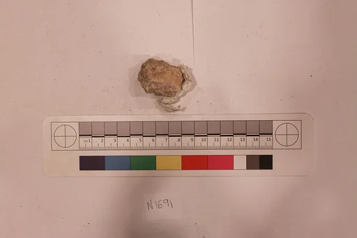 Stucco Fragment