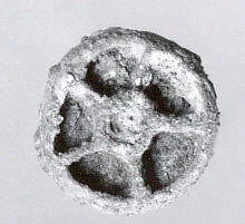 Stamp seal — Unknown