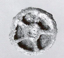 Stamp seal