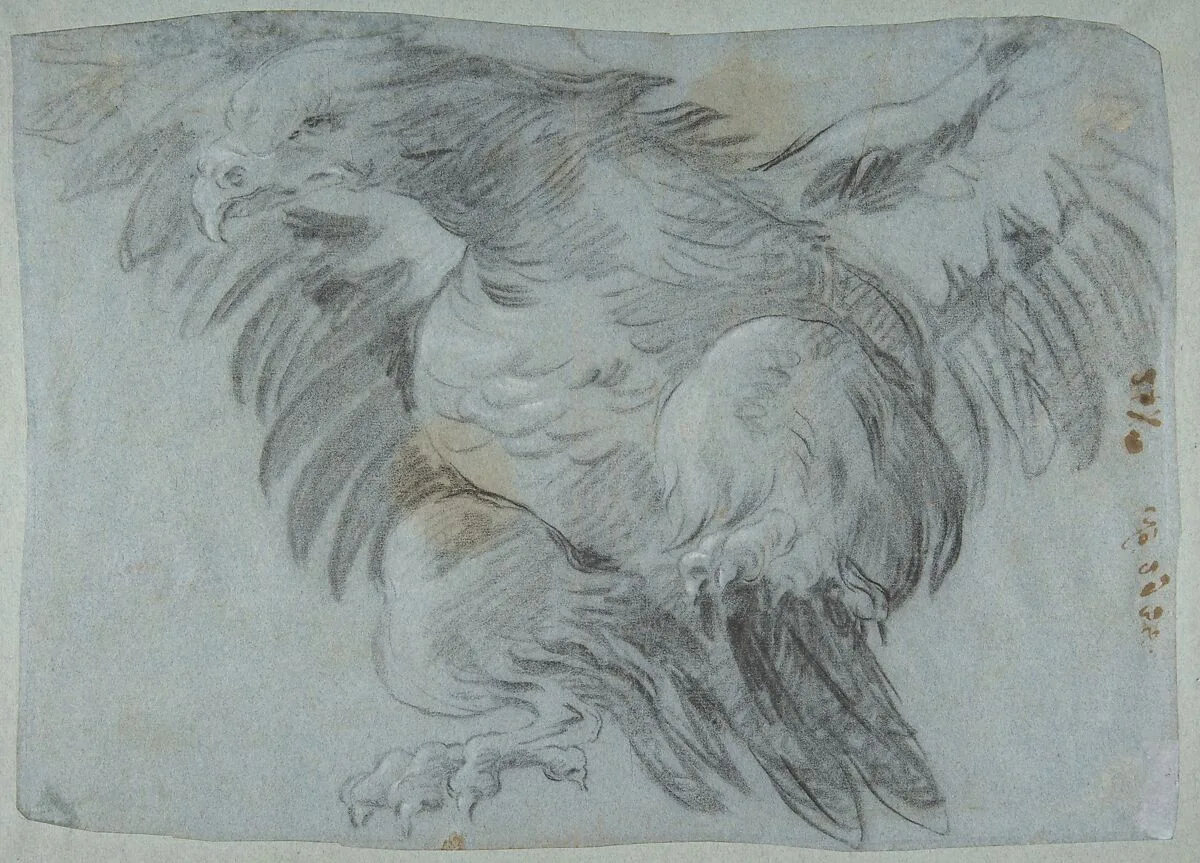 An Eagle with Wings Spread — Giovanni Battista Tiepolo