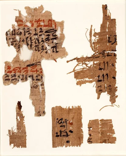 Two papyrus fragments