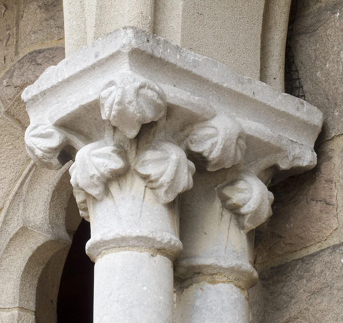 Double Capital — Unknown