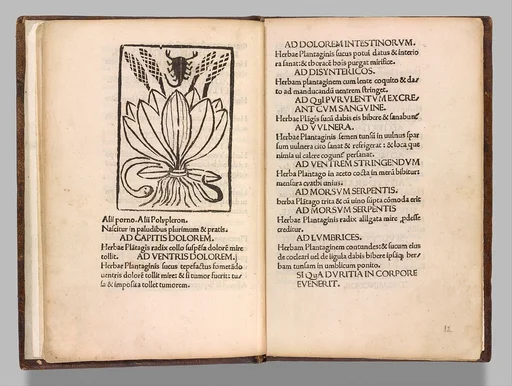 Herbarium