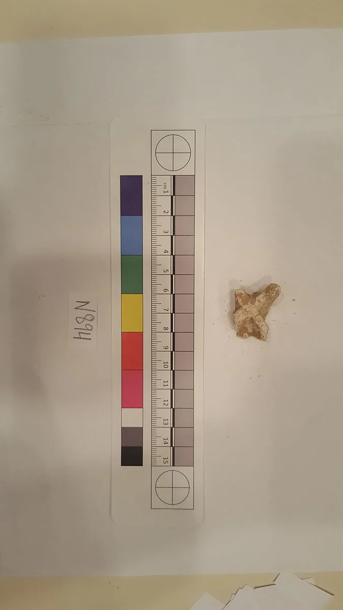 Stucco Fragment — Unknown