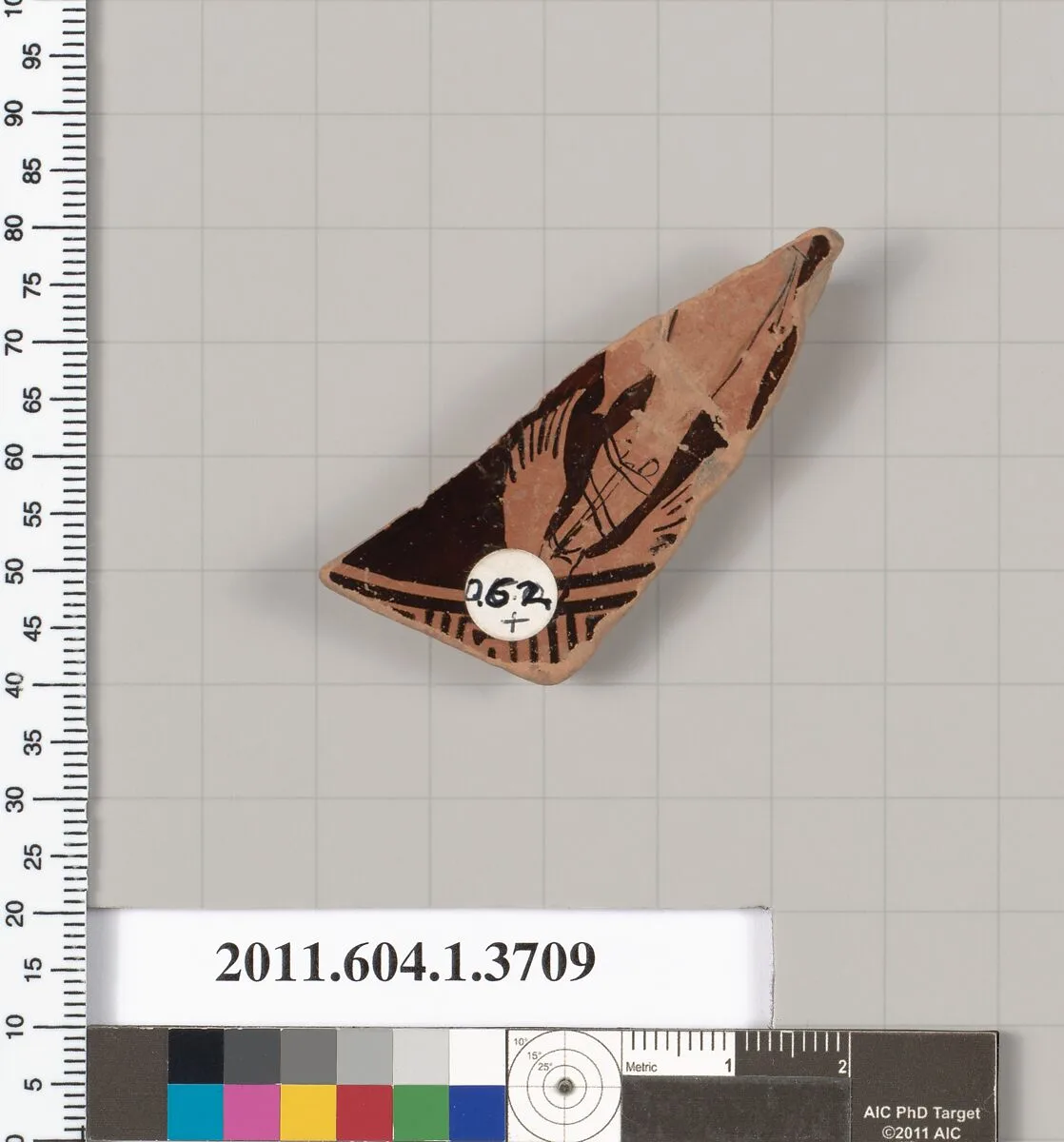 Terracotta fragment of a kylix (drinking cup) — Unknown