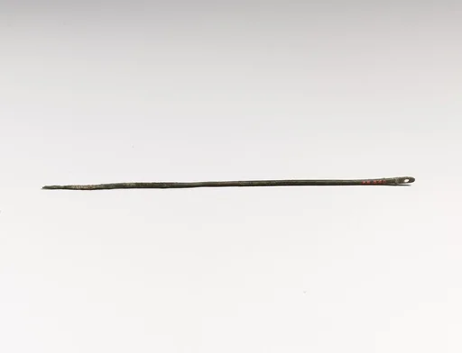 Needle