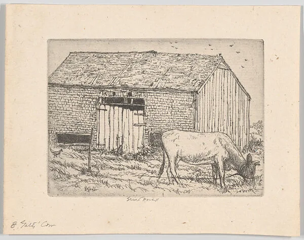 Galt's Cow — Ernest Haskell