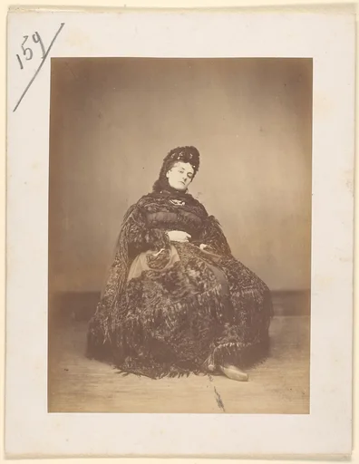 Le Caracul (L'Astrakhan)